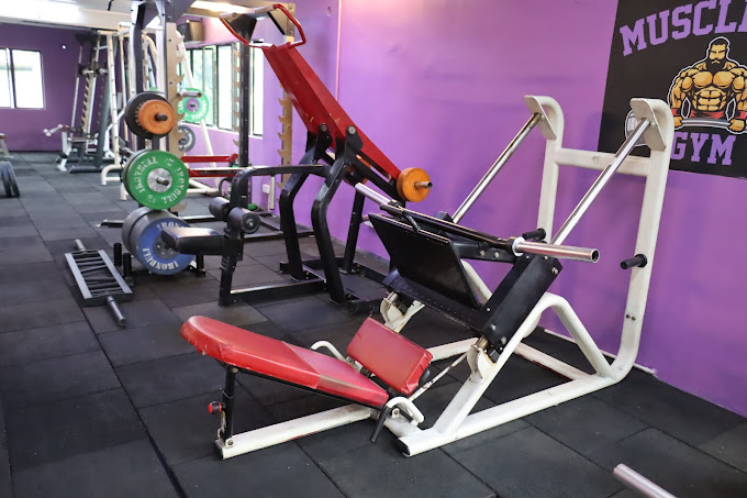 MuscleFit Gym